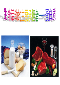 22生命活动的主要承担者----蛋白质