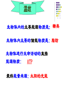 生物：54《能量之源——光与光合作用》课件(新人教版必修1)