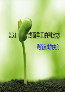 231直线与平面垂直的判定线面夹角