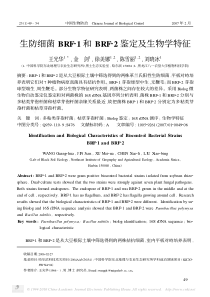 生防细菌BRF21和BRF22鉴定及生物学特征