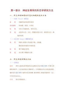神经生物学的形态学研究方法
