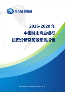 2016-2020年中国城市商业银行投资分析及前景预测报告