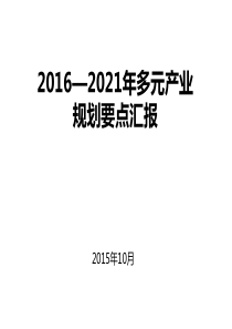2016-2021年多元规划要点汇报.