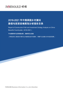 2016-2021年中国美丽乡村建设路径与投资战略规划分析报告目录