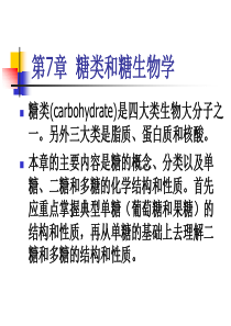 第7章 糖类和糖生物学