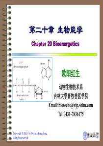 第二十章生物能学