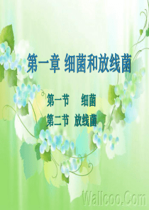 第二章、微生物主要类群的形态、结构和功能