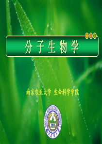 第五章分子生物学研究方法（上）——生物大分子操作技术ppt