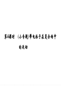 2016届《创新设计》高考物理大一轮复习精讲课件第八章磁场-4(小专题)带电粒子在复合场中的运动