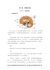 2014年多元智能皮纹测试测评培训教程完整总汇(二)