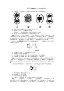 2016届高三生物一轮复习配套文档单元过关检测细胞的生命历程(四)