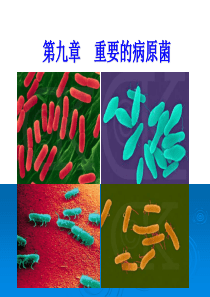 第十章重要的病原微生物（1）