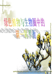 绿色植物与生物圈中的