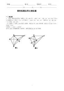 2013年中考真题精选华师数学探究拓展应用相似专题(含答案)