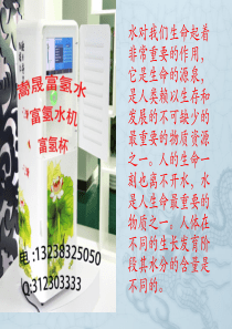 2015嵩晟富氢水销售方案.