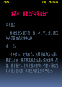 20119第四章改
