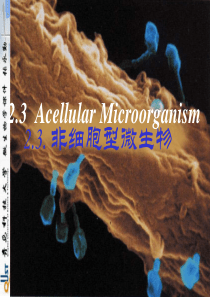 非细胞型微生物