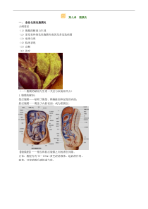 2015年尚蓝轩执业医师执业助理医师考试视频题库试题真题消化系统讲义0901