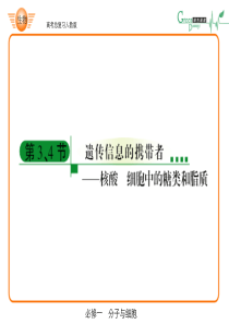 高中生物ppt-06-必修一2-3、4
