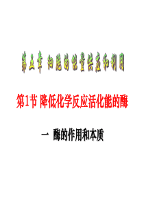 高中生物必修1《分子与细胞》(新人教版)：51 《降低化学反应活化能