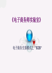 《电子商务师实验室》B2B
