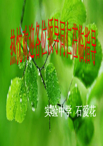 汽车中的物理知识