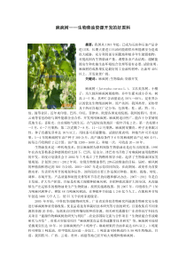 麻疯树生物柴油资源开发的香饽饽