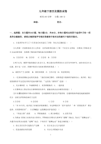 2015最新九年级历史下册模拟试卷