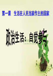 2015最新政治生活自觉参与