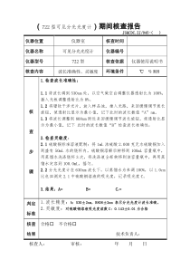 2015期间核查模板