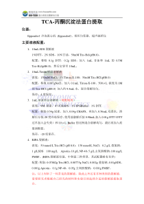 TCA-丙酮沉淀法蛋白提取