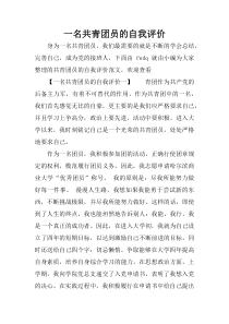 一名共青团员的自我评价