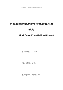 中国农村劳动力转移与城市化问题研究