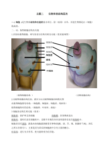 人教版初中生物知识点归纳总结