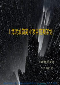 2013年1月上海泥城镇商业项目前期策划.