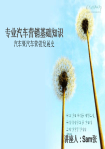 汽车市场营销基础