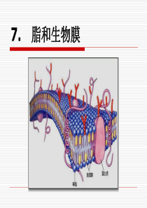 2014生化生物膜