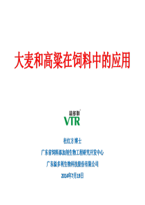 2013导游资格考试导游业务精选模拟试题1