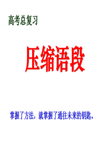 2014高考复习_压缩语段_