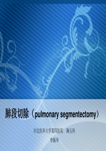2015-1-17李振华肺段切除术.