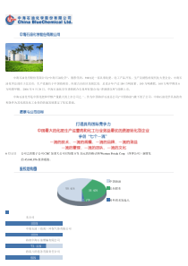 16.中海石油化学股份有限公司