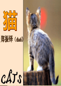 17-猫—郑振铎.