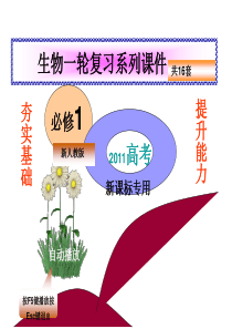 2011高考生物一轮复习课件--物质出入细胞的方式