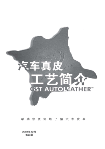 汽车真皮工艺简介 rev01
