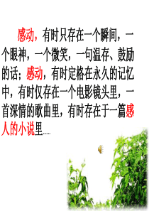 山羊兹拉特课件(公开课)