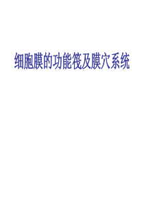 1细胞膜的功能筏及膜穴系统