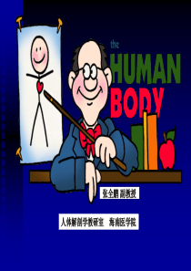 1绪论+骨学.