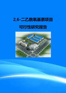2,6-二乙酰氧基萘项目可行性研究报告(目录)