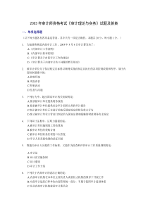 2003年审计师资格考试《审计理论与实务》试题及答案