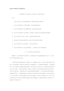 2008年中国知识产权保护状况